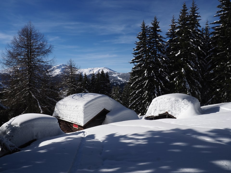 Blick auf die verschneiten Häuser auf einer Alp in den Bäumen.