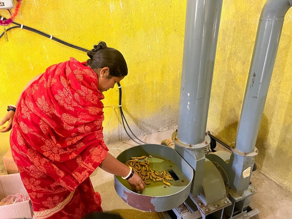 A woman wearing a red dress stands at a turmeric mill