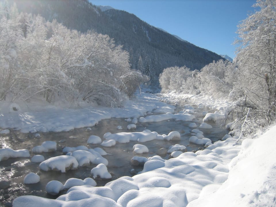 Ruedi Gysin war bei klirrender Kälte in Obergoms mit den Skatingskis unterwegs. 