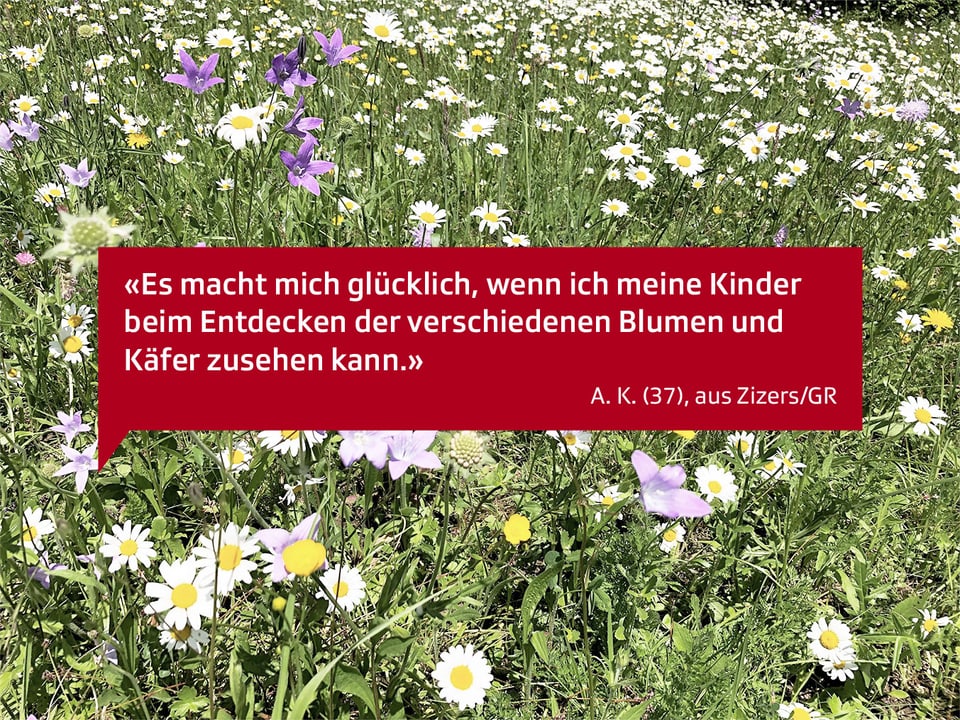 Es macht mich glücklich, wenn ich meine Kinder beim Entdecken der verschiedenen Blumen und Käfer zusehen kann. A.K. 37, aus Zizers GR