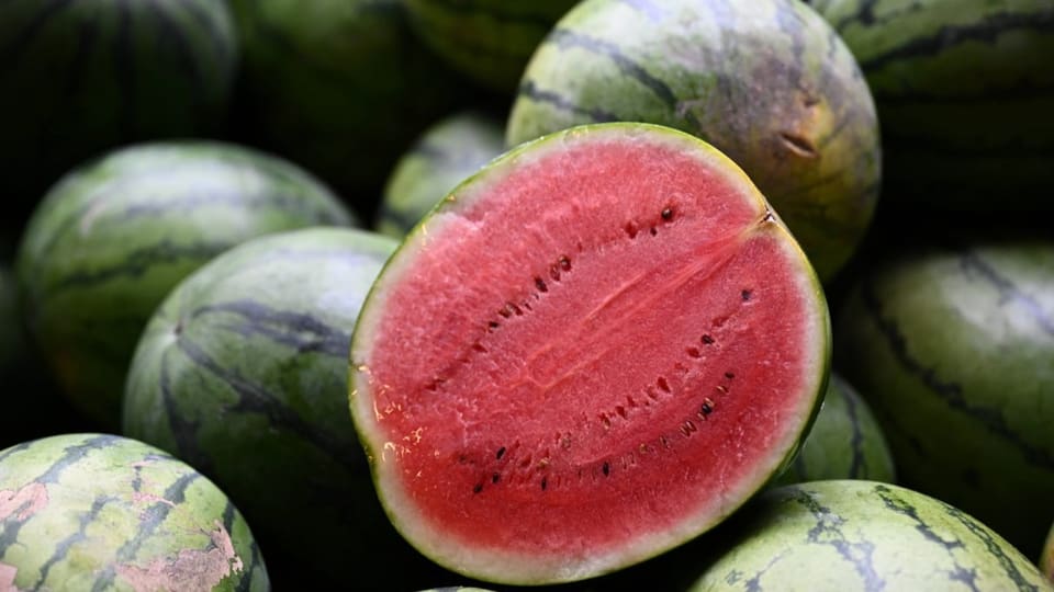 angeschnittene Melone