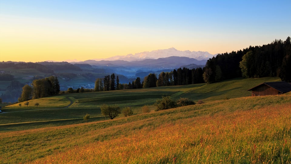 Morgendlicher Blick von Kirchberg Richtung Alpstein.