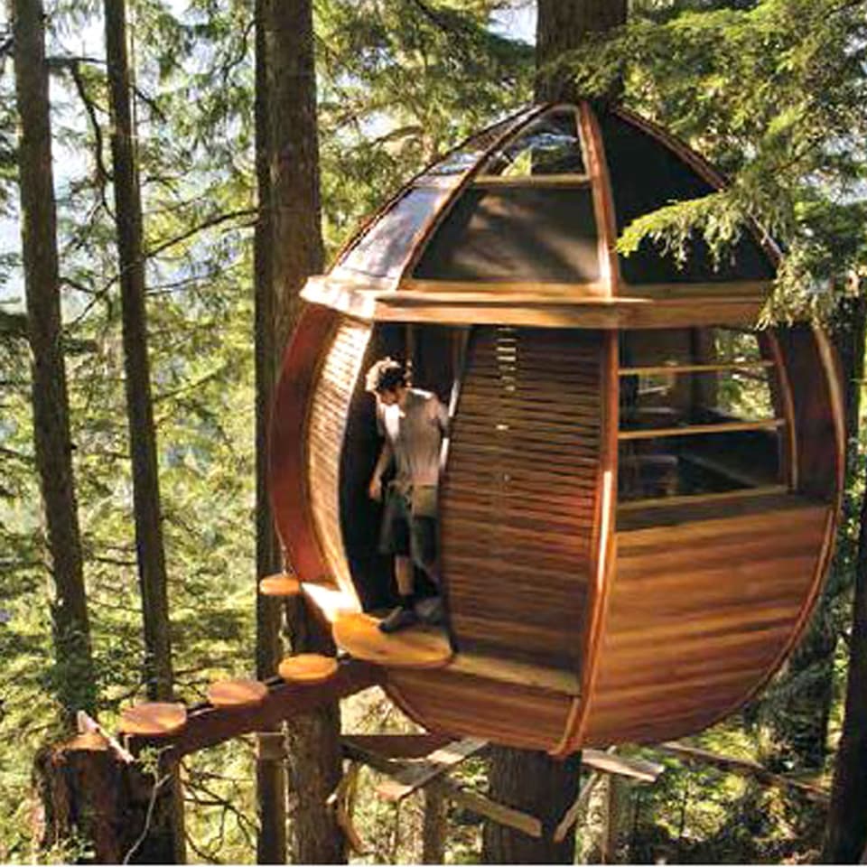 Ovales Baumhaus mit Mann im Eingang inmitten von Baumstämmen und Zugang mit Holzplatten in der Luft