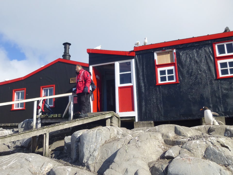 Ein dunkelblaues Haus mit roten Fensterrahmen steht auf einem Felsen. Ein Mann steht vor der Tür, ein Pinguin ist auch zu sehen. 