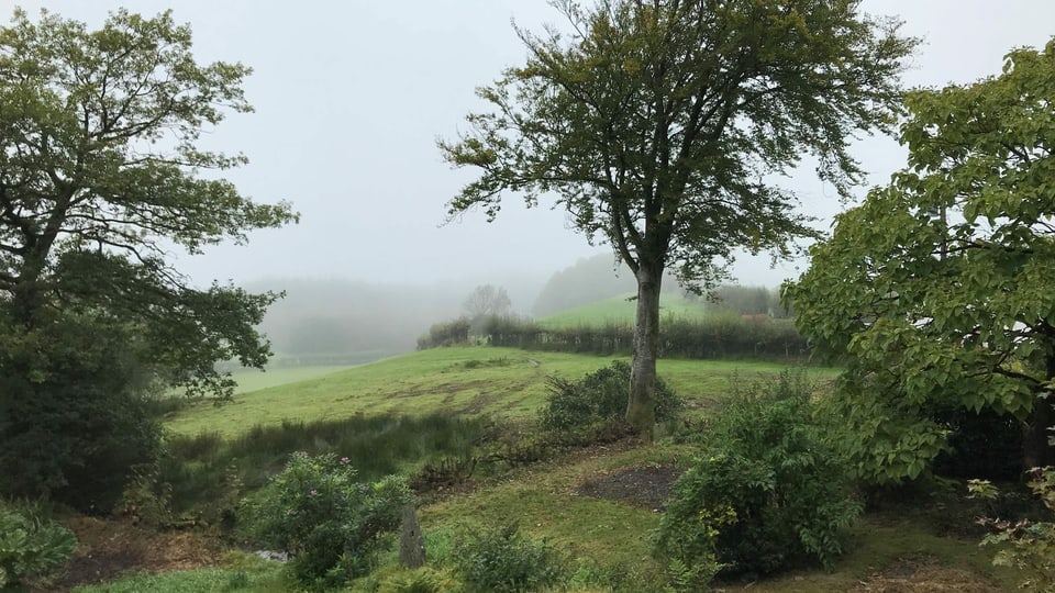 Nebelverhangene walisische Hügellandschaft.