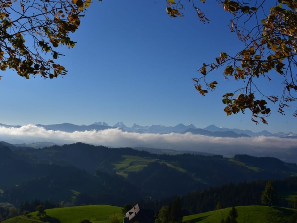 Sicht auf Hügel, einige Nebelschwaden und Schneeberge, darüber blauer Himmel.