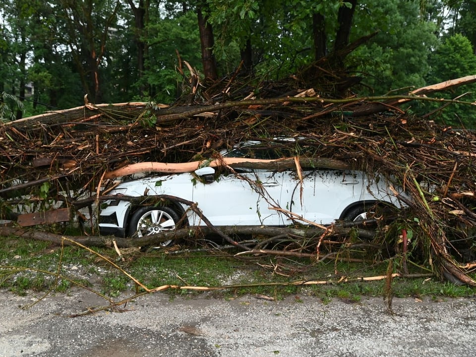 In der Nähe von Medvode ist ein Baum auf ein Auto gestürzt. (06.08.2023)