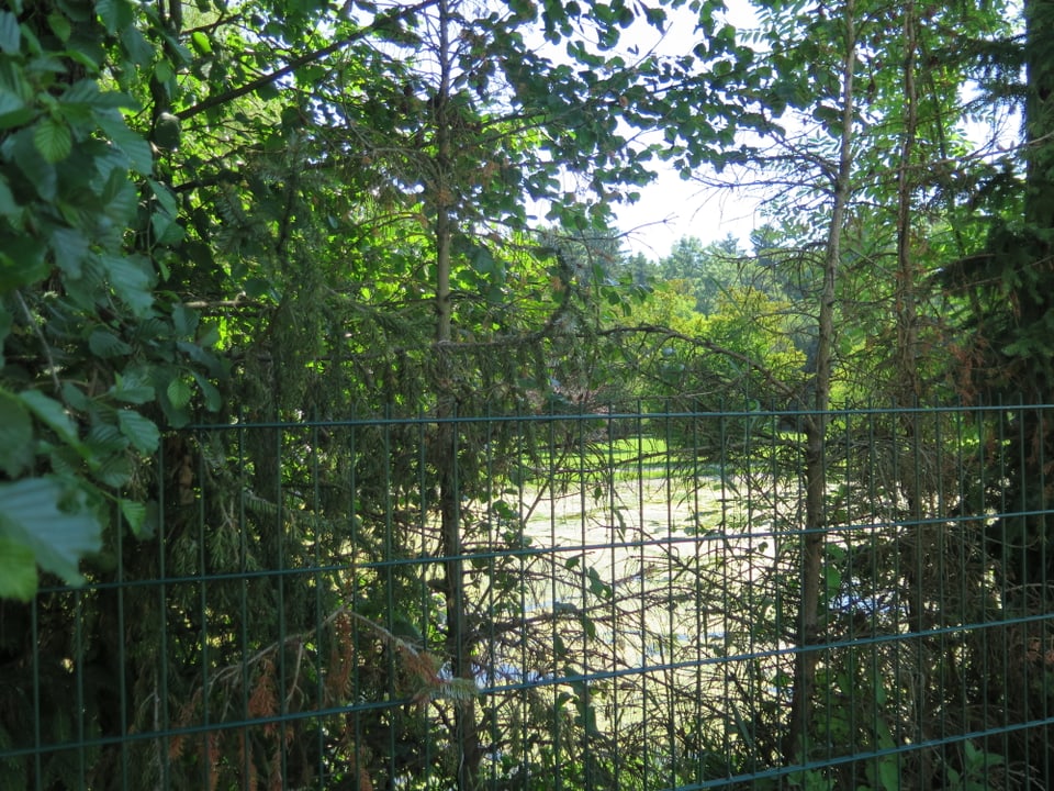 Ein Teich hinter einem Zaun versteckt.
