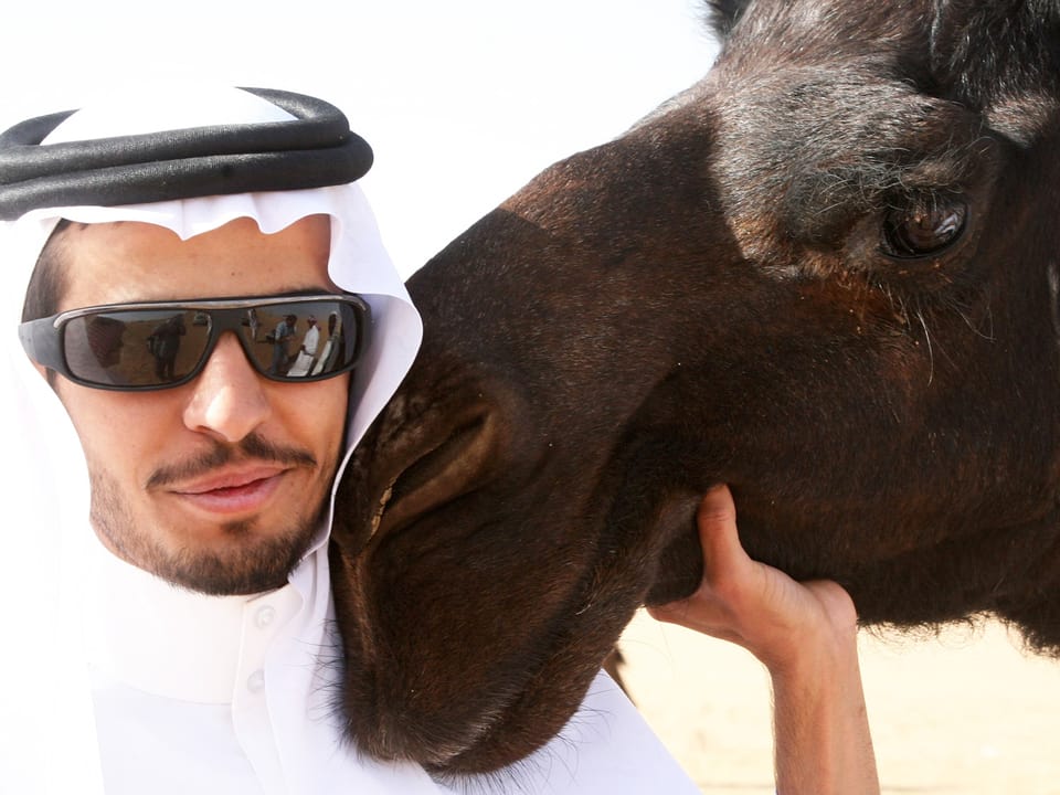 Mann schmiegt sich an den Kopf des Kamels.