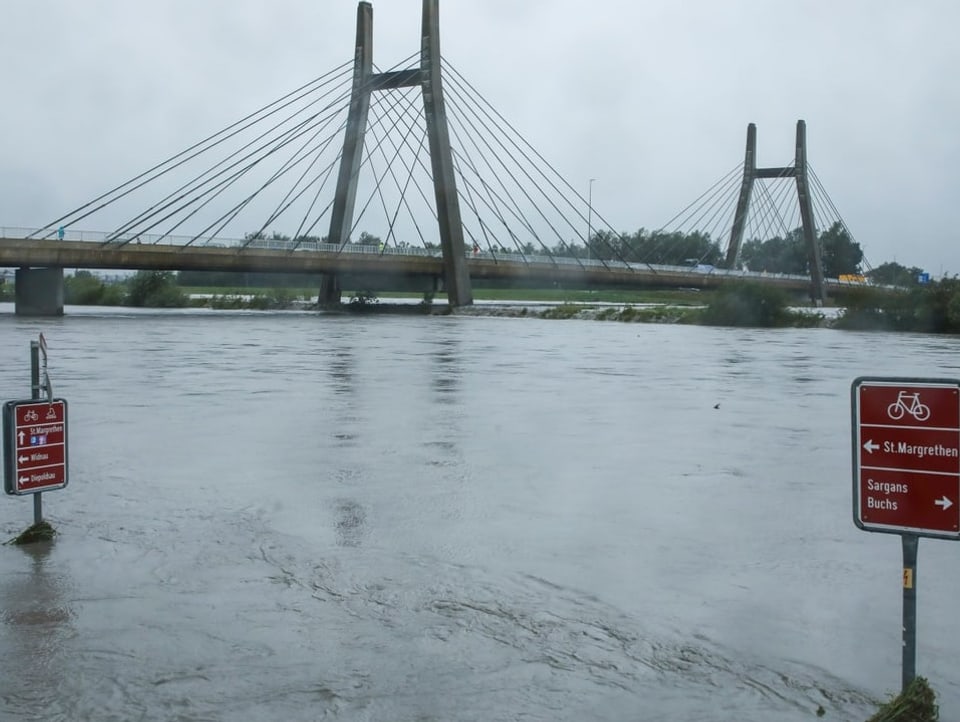 Hochwasser am Rhein bei Widnau SG