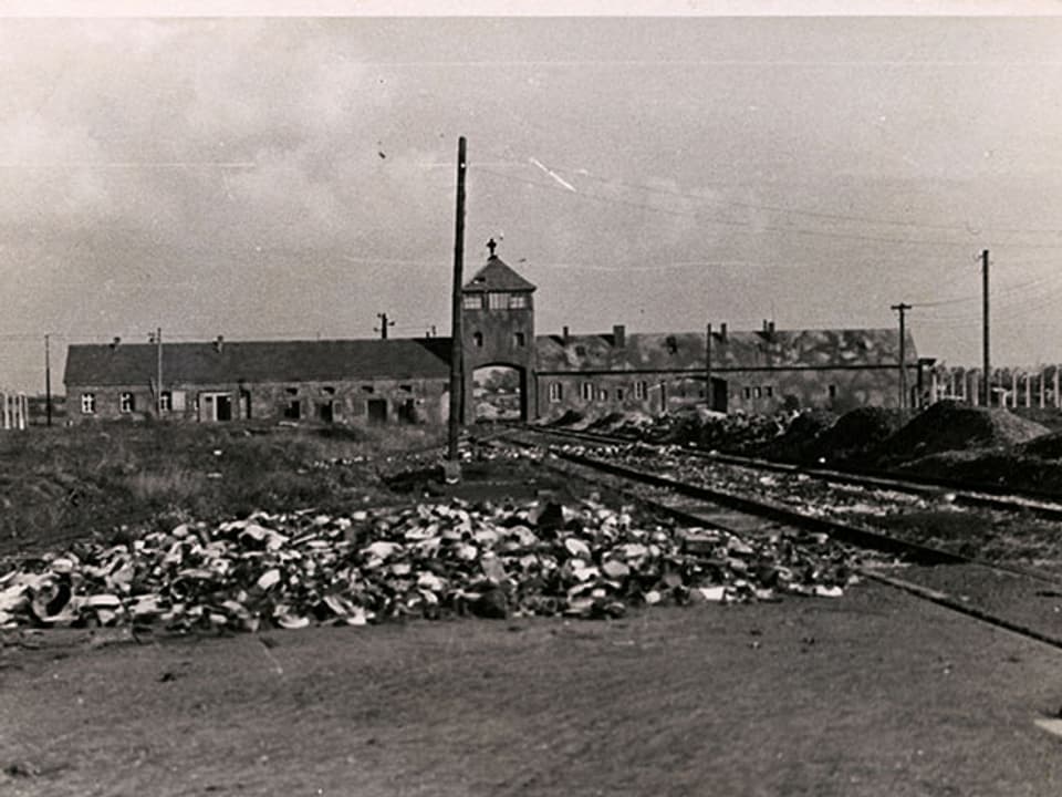 Eine Schwarz-Weiss-Postkarte zeigt das KZ Auschwitz aus der Ferne.