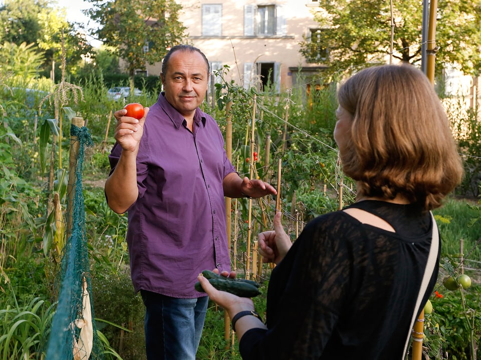 Ein Mann mit violettem Hemd zeigt eine Tomate. Eine Frau hält eine Gurke.