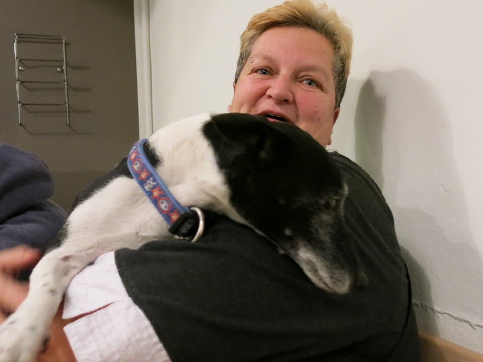Eine Frau hält einen Jack Russell-Terrier im Arm