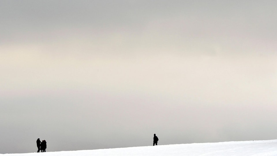 Winterspaziergang oberhalb Zollikon Mitte Dezember 2012: Der Winter liess sich Zeit, dann aber wurde es kalt und weiss. 