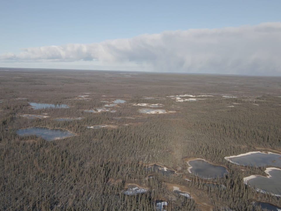 Dronenansicht riesige Waldfläche mit kleinen Seen.