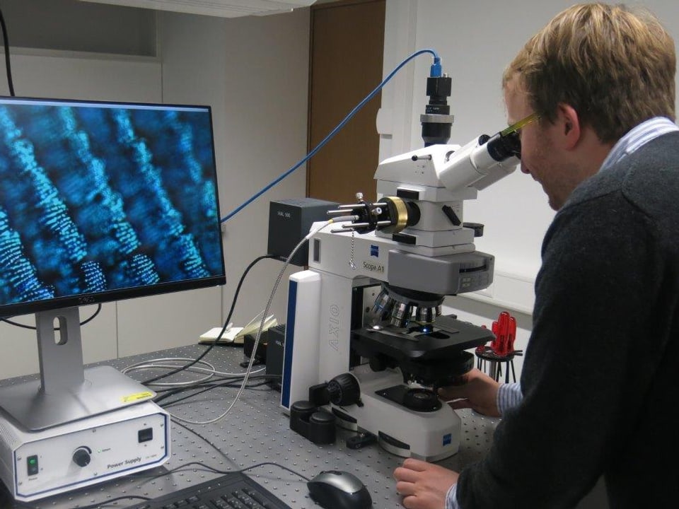Ein Forscher schaut in ein Mikroskop.