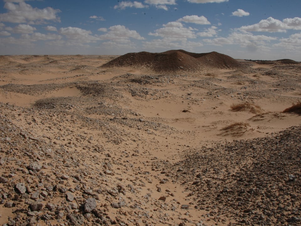 Blick über eine Ebene in der Sahara.