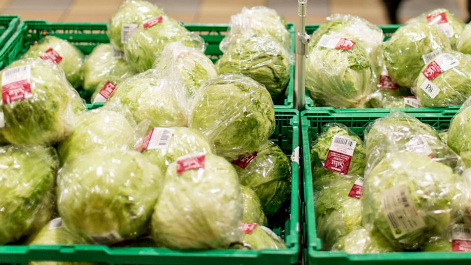 Salatköpfe liegen in einem Supermarkt in grünen Plastikkisten in der Auslage