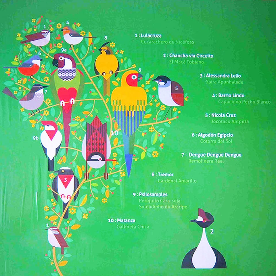 Grüne quadratische Platte mit südamerikanischen bunt gefiederten Singvögeln.