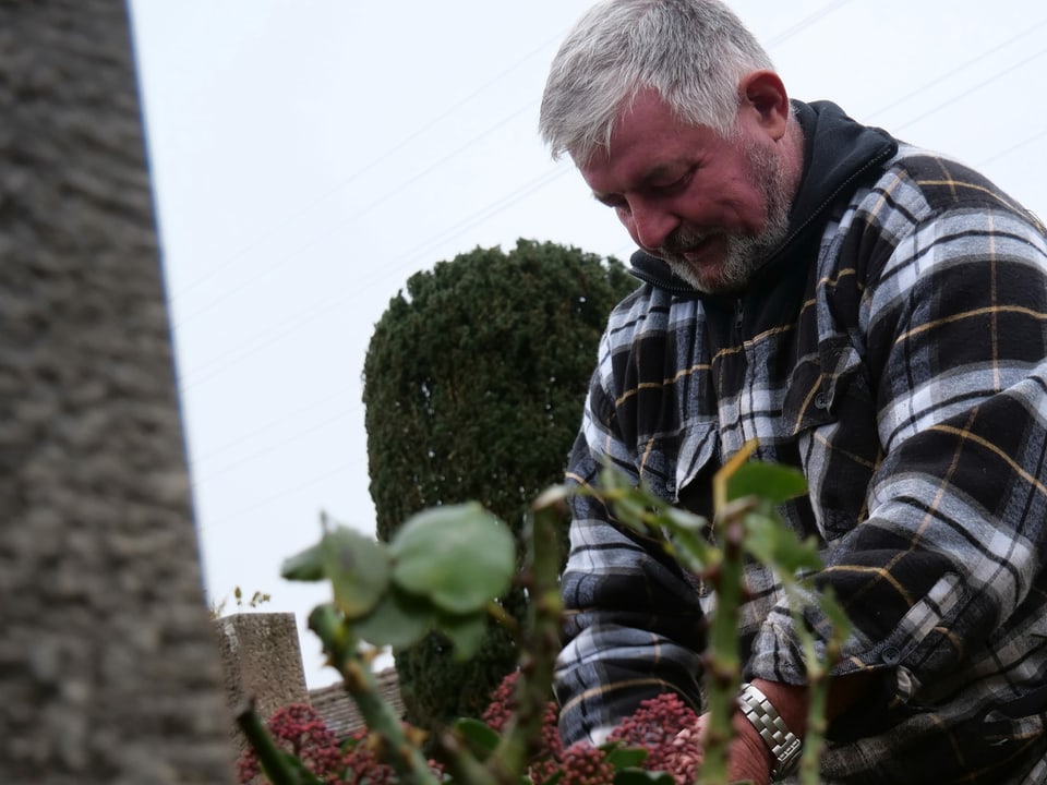 Ein Mann pflanzt Pflanzen auf einem Grab