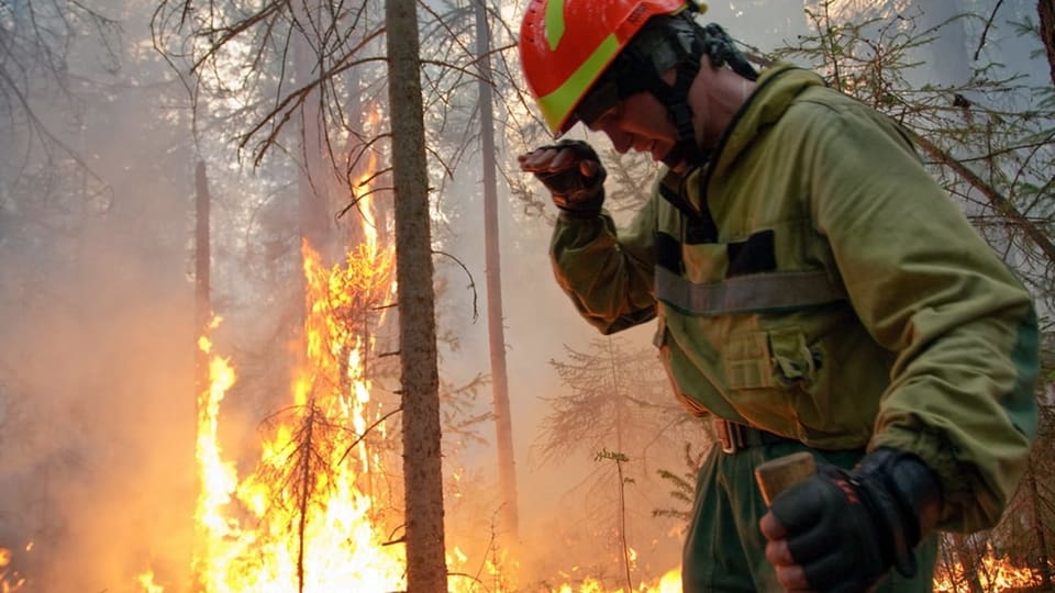 Feuerwehrmann steht im Wald neben den Flammen.