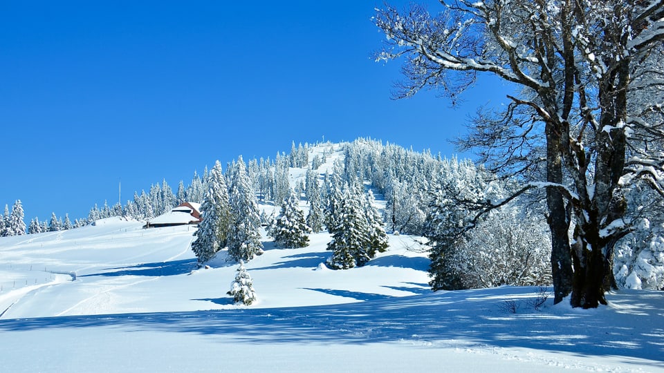 Tief verschneite Juragegend bei Chuffort am 10. März 