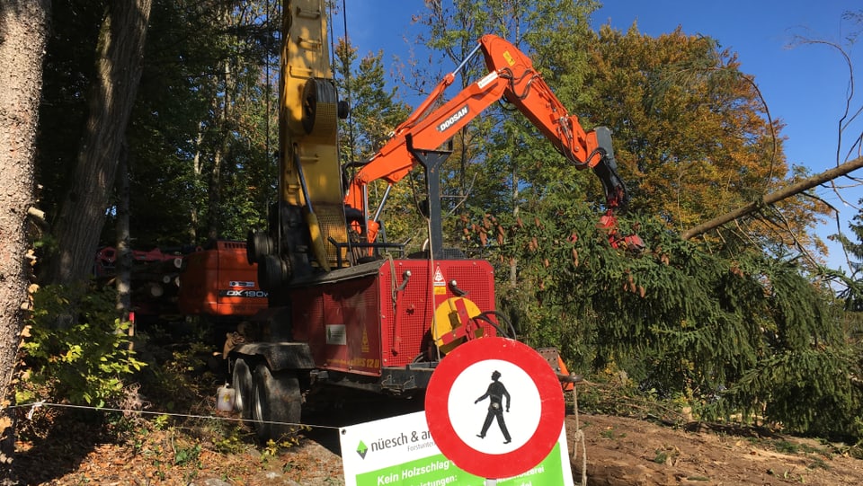 Eine Maschine holt hält einen gefällten Baum, im Vordergrund eine Verbotstafel