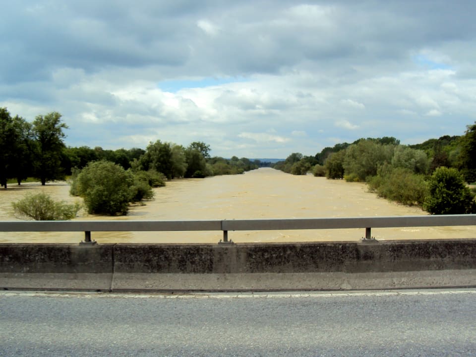Blick von Brücke auf braunes Wasser und Sträucher im Wasser