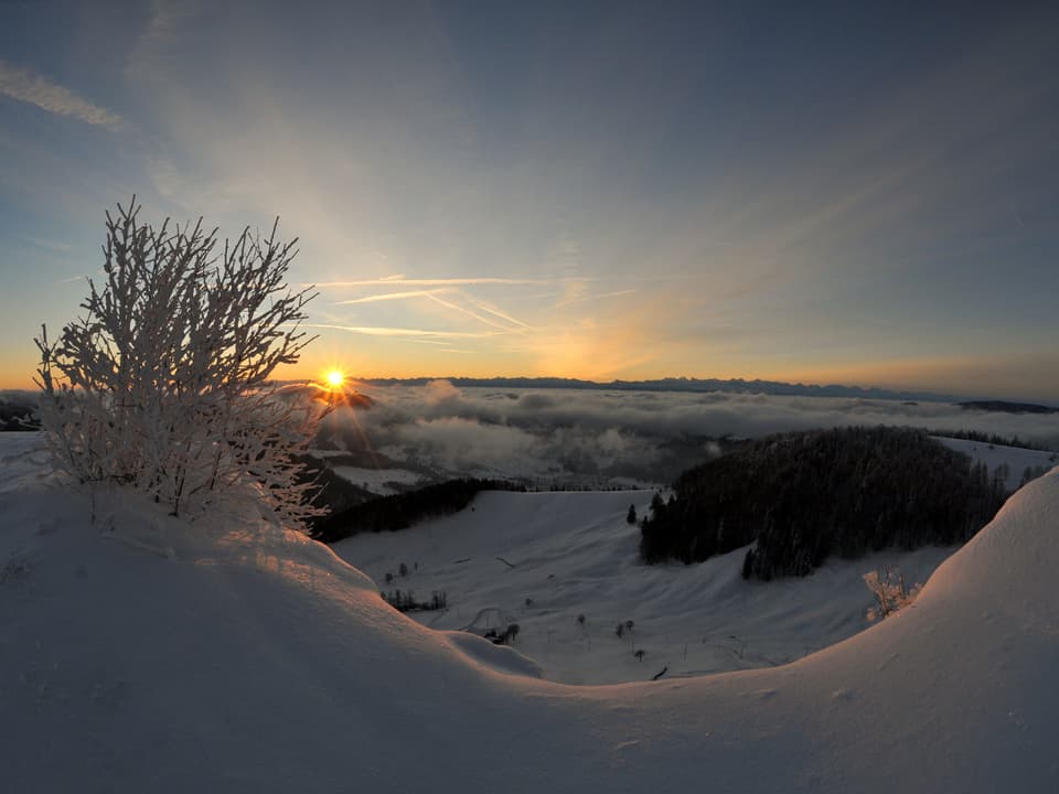 Sonnenaufgang auf dem Jura.