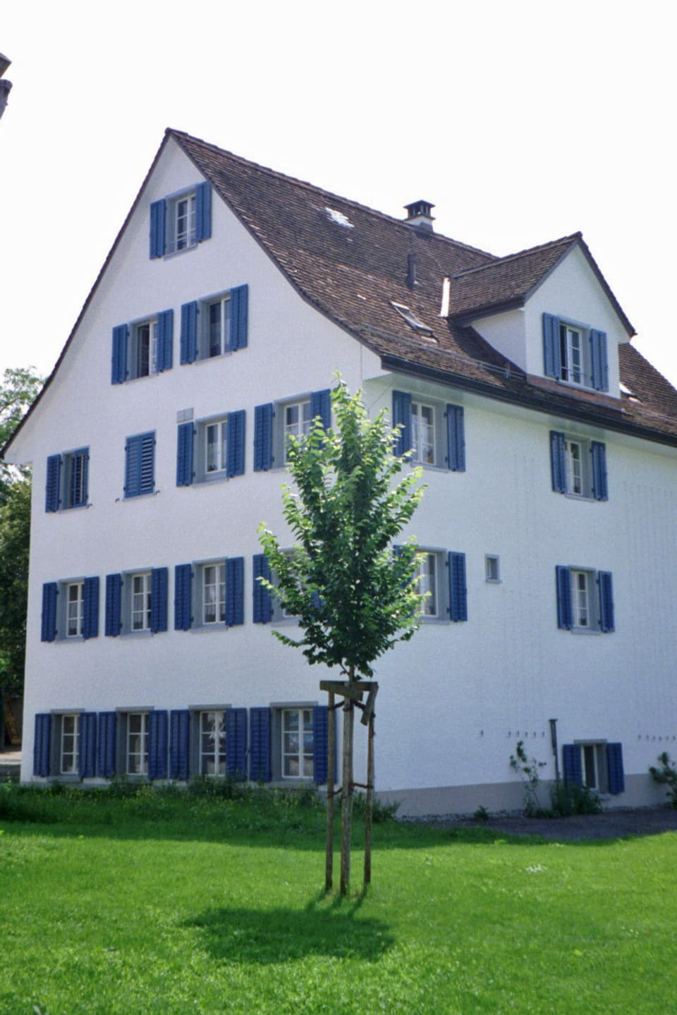 Ein vierstöckiges weisses Haus mit blauen Fensterläden umgeben von einer grossen Wiese: die Therapiestation Ulmenhof.