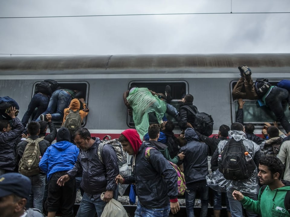 20. September 2015: Migranten versuchen am Bahnhof der ost-kroatischen Grenzstadt Tovarnik durch die Fenster in einen Zug zu gelangen. Die Polizei hatte zuvor Barrieren errichtet, da immer mehr Migranten über Serbien ins Land gelangten. 
