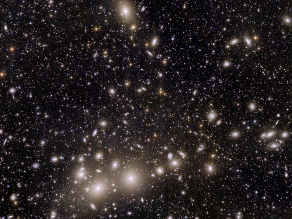 Galaxien, die zum Perseus-Haufen gehören, und andere, die weiter entfernt sind, aufgenommen mit dem Euclid-Teleskop.