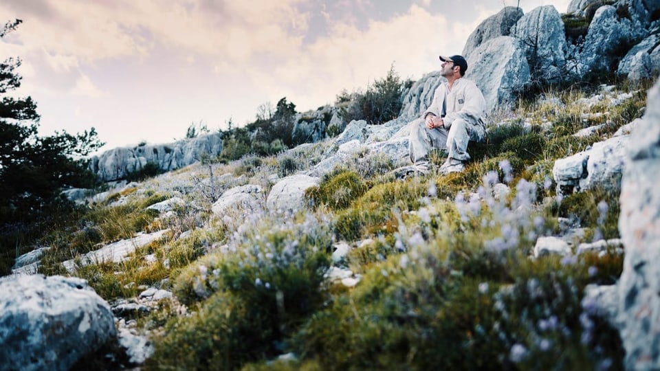 Der Imker Philippe Coste inmitten von blühendem Wildlavendel.