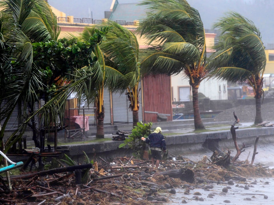Palmen im Sturm in der Stadt Atimonan