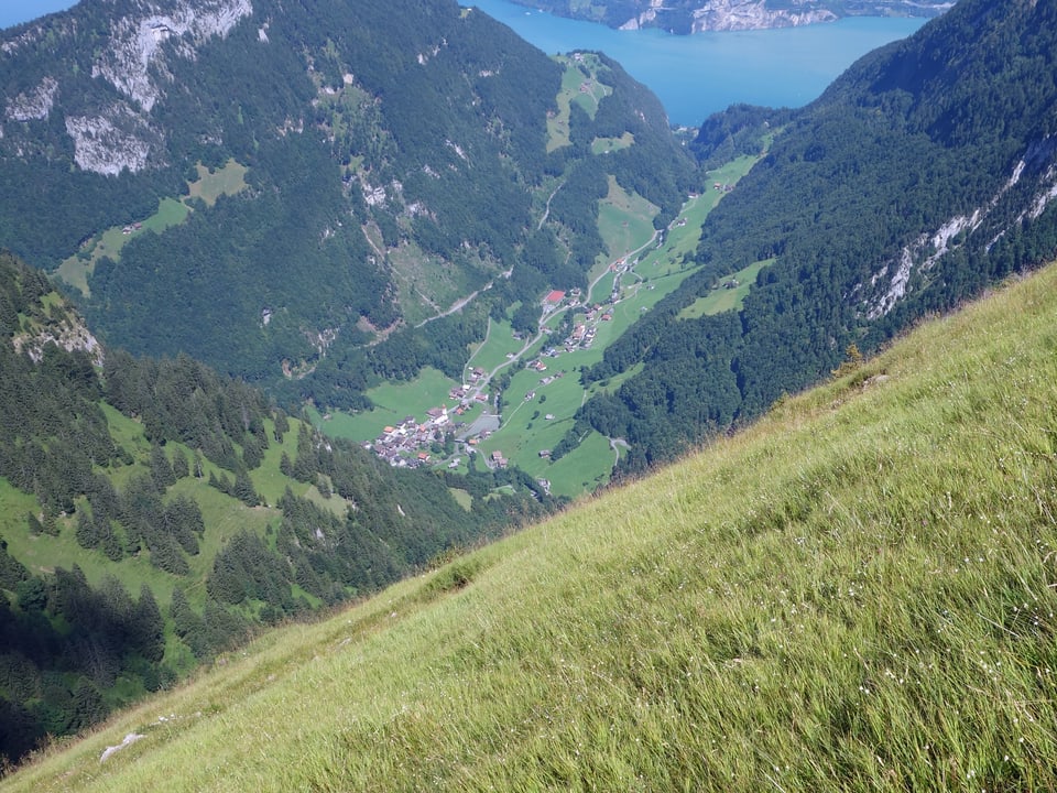 Ein steiler Hang mit Blick ins Tal.