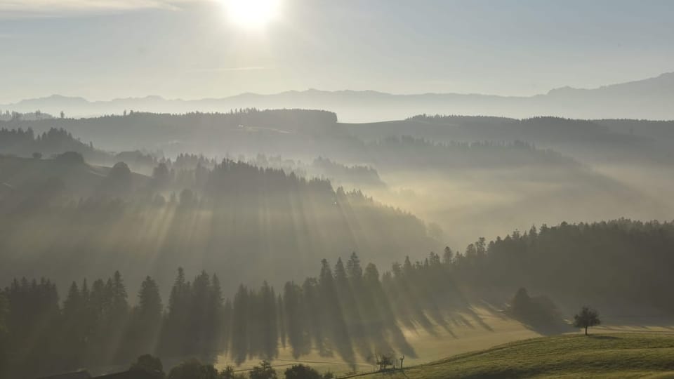 Morgetliches Sonnen- nebel-schattenspiel