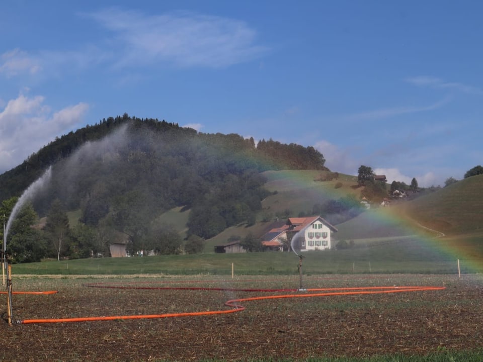 Eine Bewässerungsanlage, dahinter trockene Wiesen.