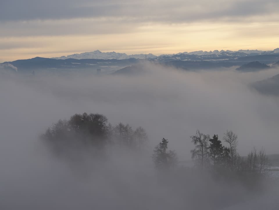 Alpen über dem Nebel