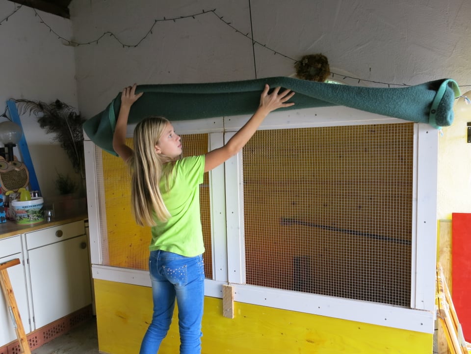 Elena klappt beim Hühnerkäfig die grüne Decke hoch.