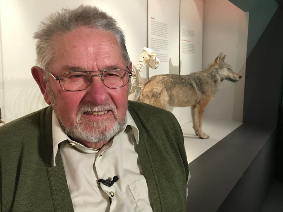 Valentin Jäggi steht im Ausstellungsraum des Naturmuseums Olten, im Hintergrund ausgestellt ist der Wolf von Hägendorf. 