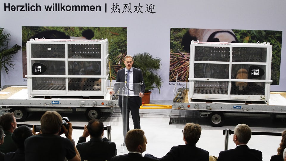 Müller spricht vor den Medien. Hinter ihm stehen die beiden Transportboxen, in denen die Pandas zu sehen sind.