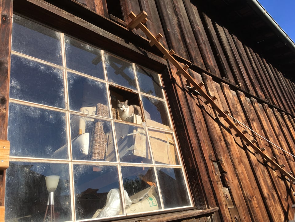 Alter Schopf von aussen, durchs Fenster sieht man Brockenstubenmöbel, auf denen eine Katze sitzt.