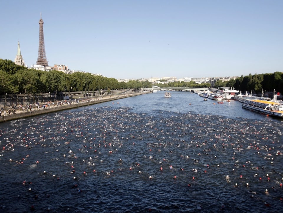 In der Seine schwimmen Schwimmer.