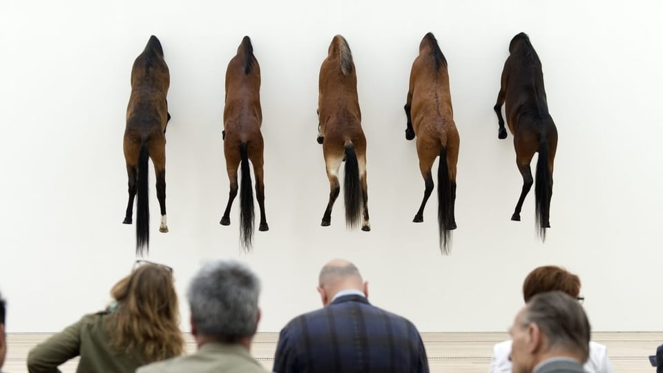 Pferdeskulpturen ohne Kopf hängen an einer weissen Wand.