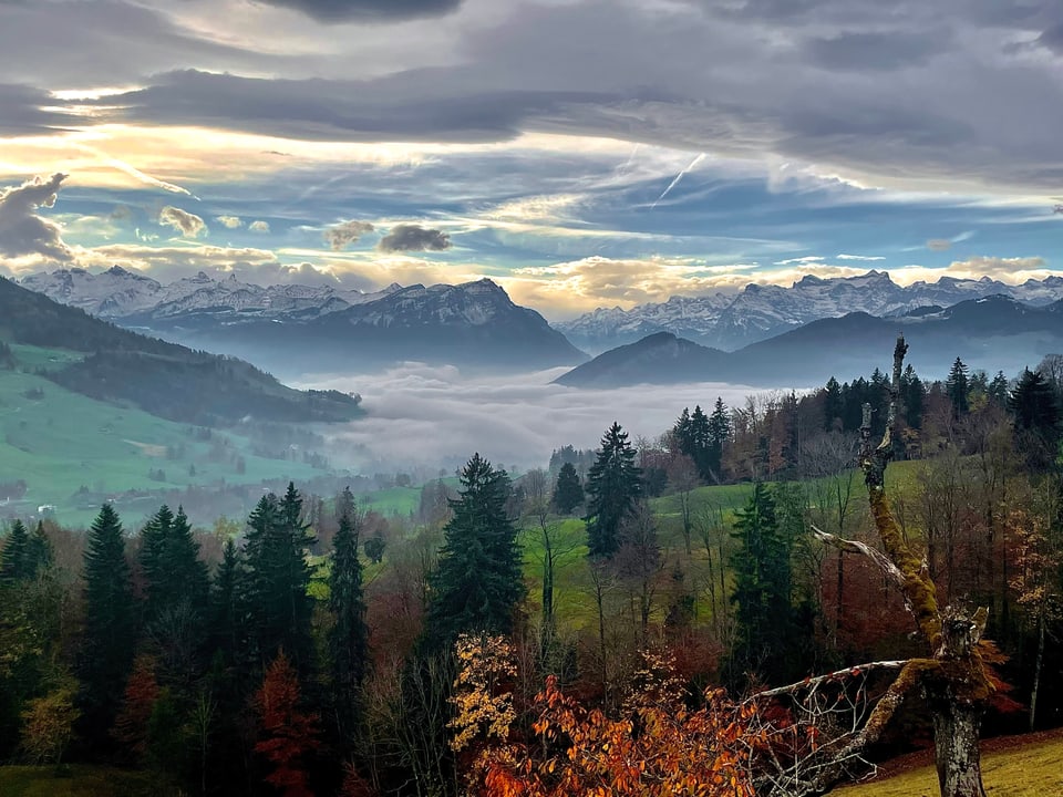 Nebelmeer in den Alpen.