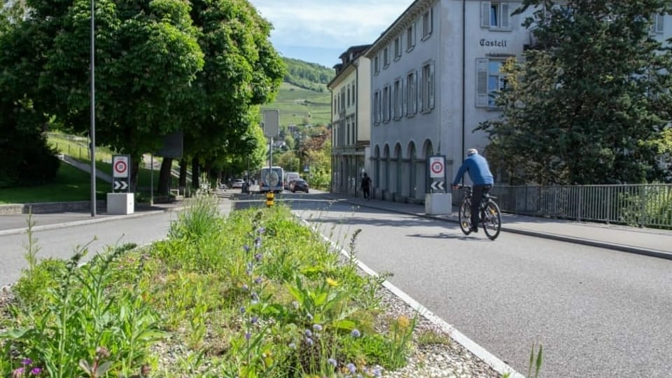 Grünstreifen am Strassenrand gegen die Hitzeinseln in den Städten.