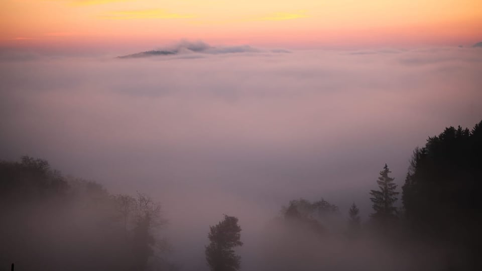 Pleigne/JU Nebel