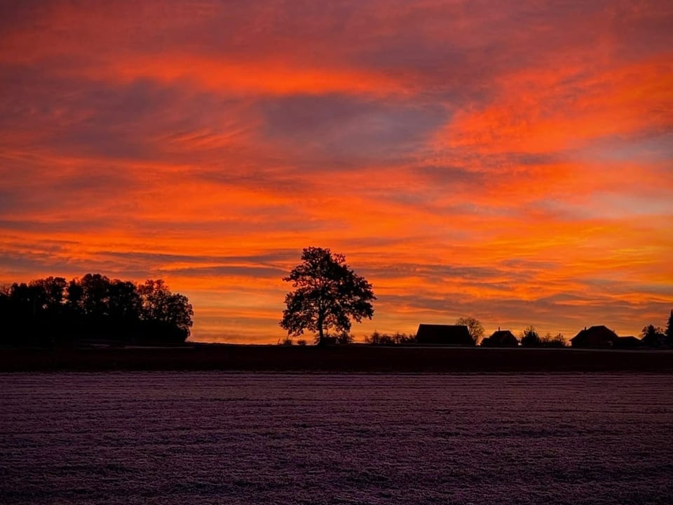 Morgenrot über dunkler Landschaft.