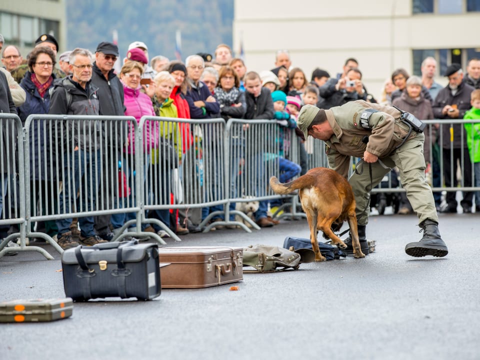 Ein Soldat mit einem Spürhund und einer Reihe von Koffern.