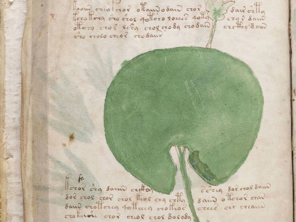 Eine Seite des Voynich-Manuskripts.